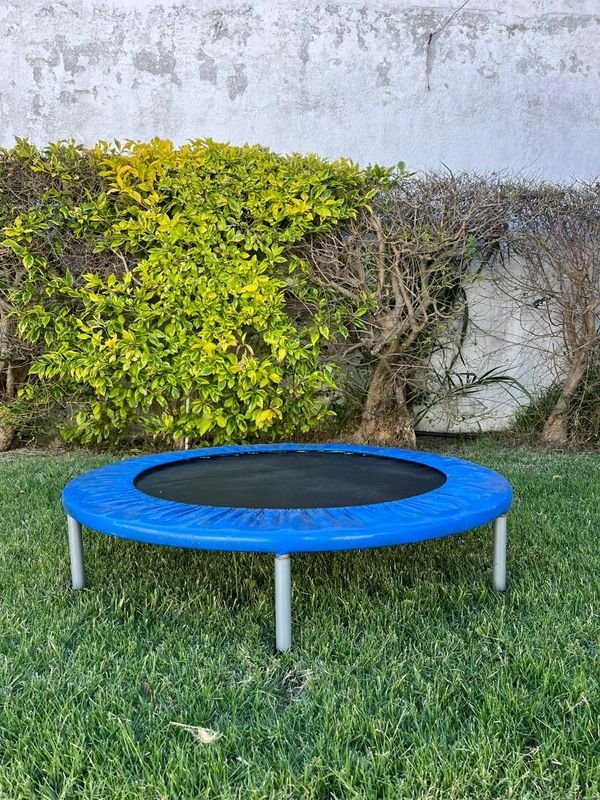 Cama Elástica para Niños - imagen 3