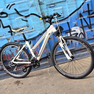 Lote anterior: Bicicleta Trek Skye Series R26 Blanca