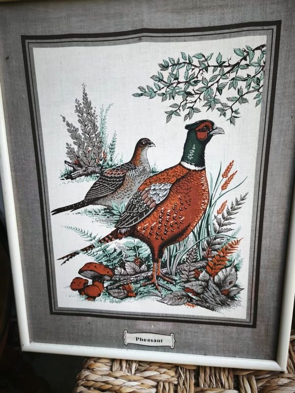 Colección de cuadritos decoración estilo aves - imagen 11