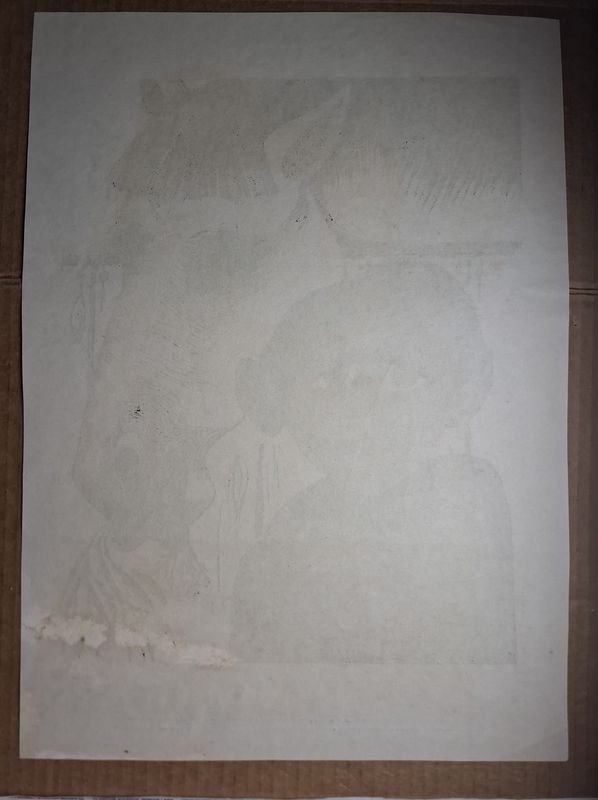 Item 859479 - Image 1