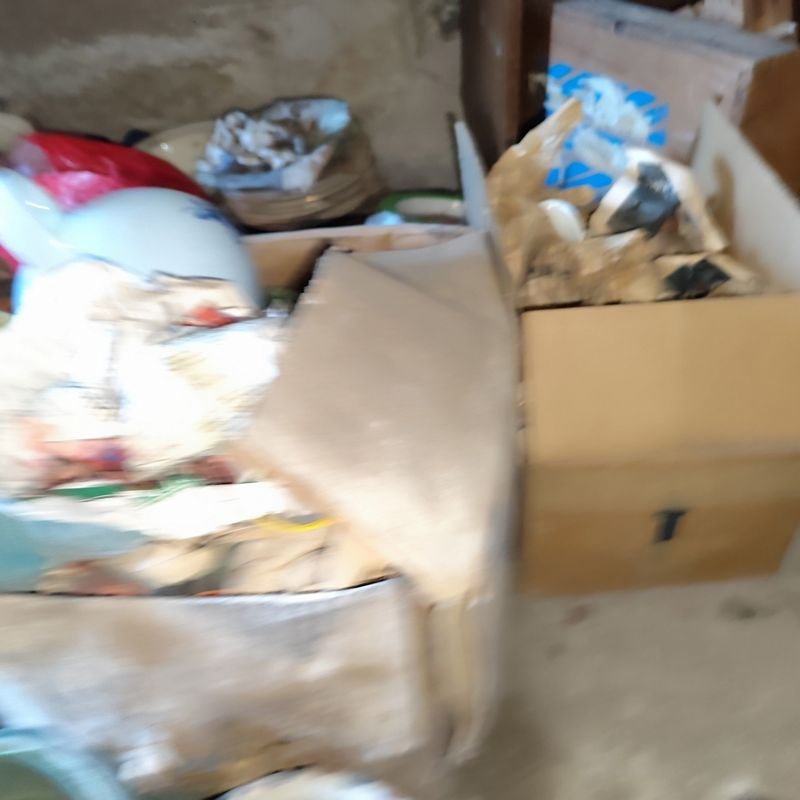 Item 880276 - Image 10