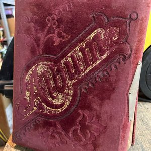 Lote siguiente: Álbum de Fotos Antiguo con Tapa de Terciopelo Bordado
