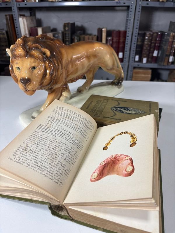 Libros Antiguos de Odontología y Economía Doméstica - imagen 3