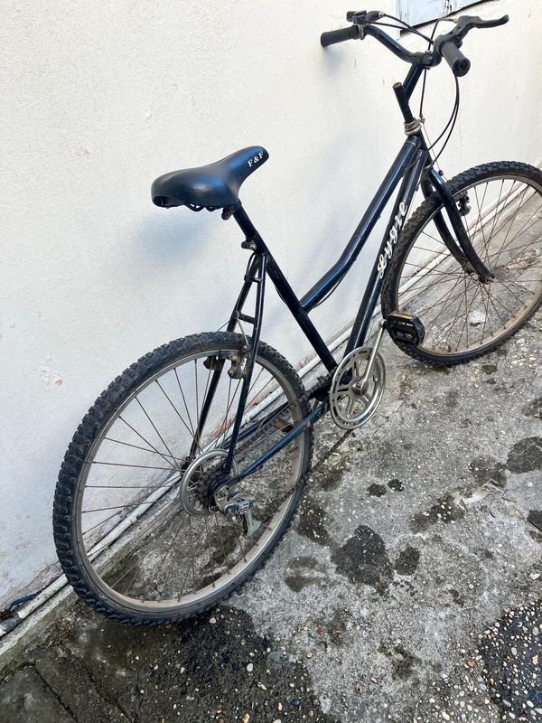 Bicicleta Vintage Ygin "Lygié" Rodado 26
