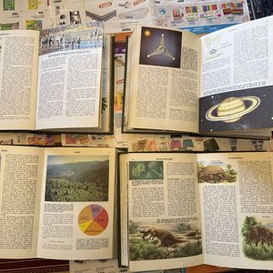Colección Completa 4 Tomos Ciencias Naturales Editorial Bruguera Edición de Lujo - imagen 4