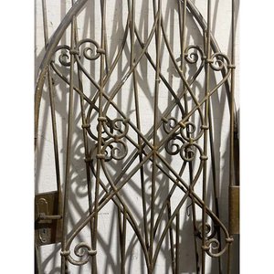 Portón de Hierro de Dos Hojas con Diseño Ornamental - imagen 2