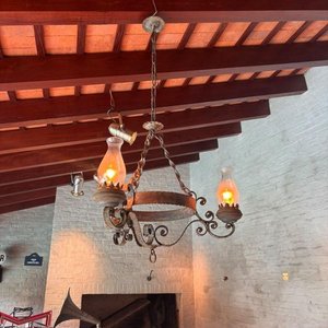 Lámpara Colgante de Hierro Forjado con 3 Brazos y Tulipanes - imagen 4