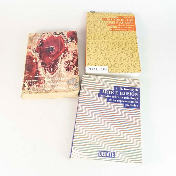 Lote de 3 Libros de Arte: Artes Plásticas del Uruguay, Arte e Ilusión y Usos de las Imágenes - imagen 1