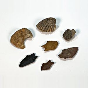 Conjunto de 7 Puntas de Lanza en Piedra y Fósiles Marinos - imagen 2
