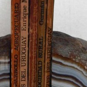 Lote de 4 Libros Colección Nuestra Tierra y Costas de Maldonado - imagen 3