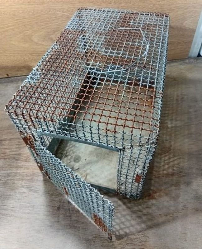 Jaula para gatos de alta calidad - imagen 3