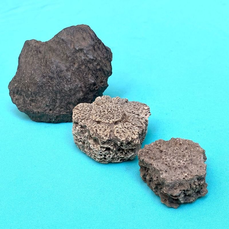 Item 895830 - Image 0