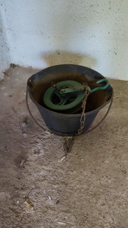 Lote de Roldana y Accesorios para Vehículos - imagen 5