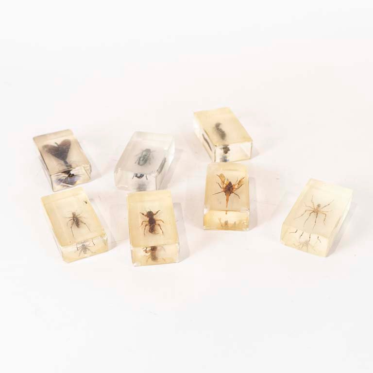 Item 2099037 - Image 0