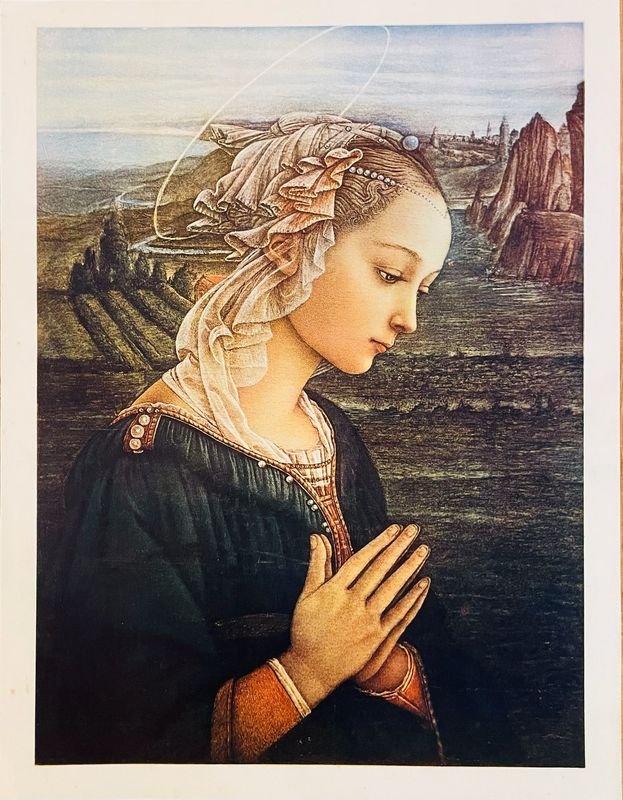 Item 890050 - Image 0