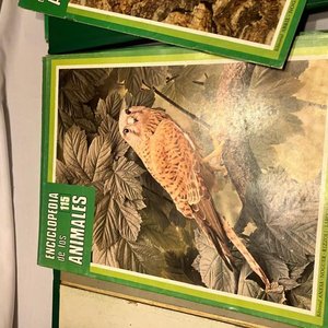 Enciclopedia de los Animales: Fascículos y Carpetas de 1970 - imagen 3