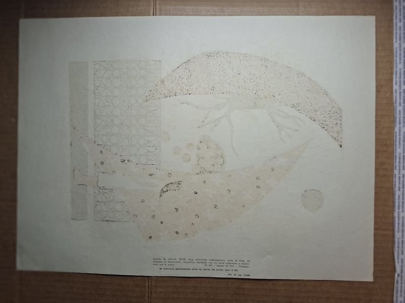 Item 859489 - Image 1