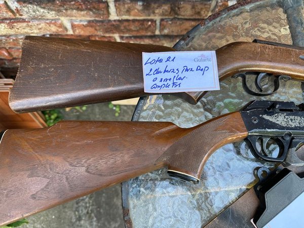 Armas de Fuego: 2 Chumberas con Accesorios - imagen 1
