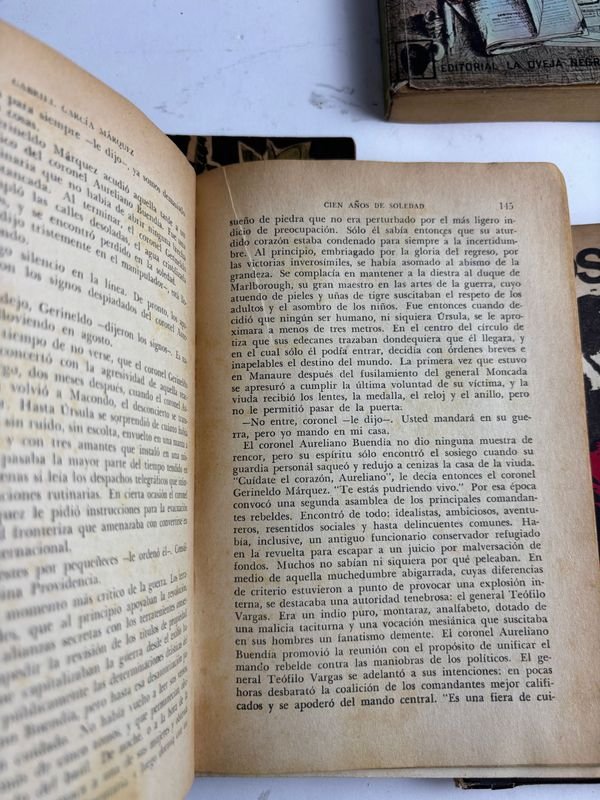 Colección de libros en español de autores latinoamericanos - imagen 10
