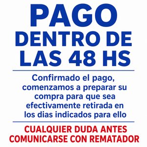 Lote anterior: Aviso de Pago Dentro de las 48 Horas