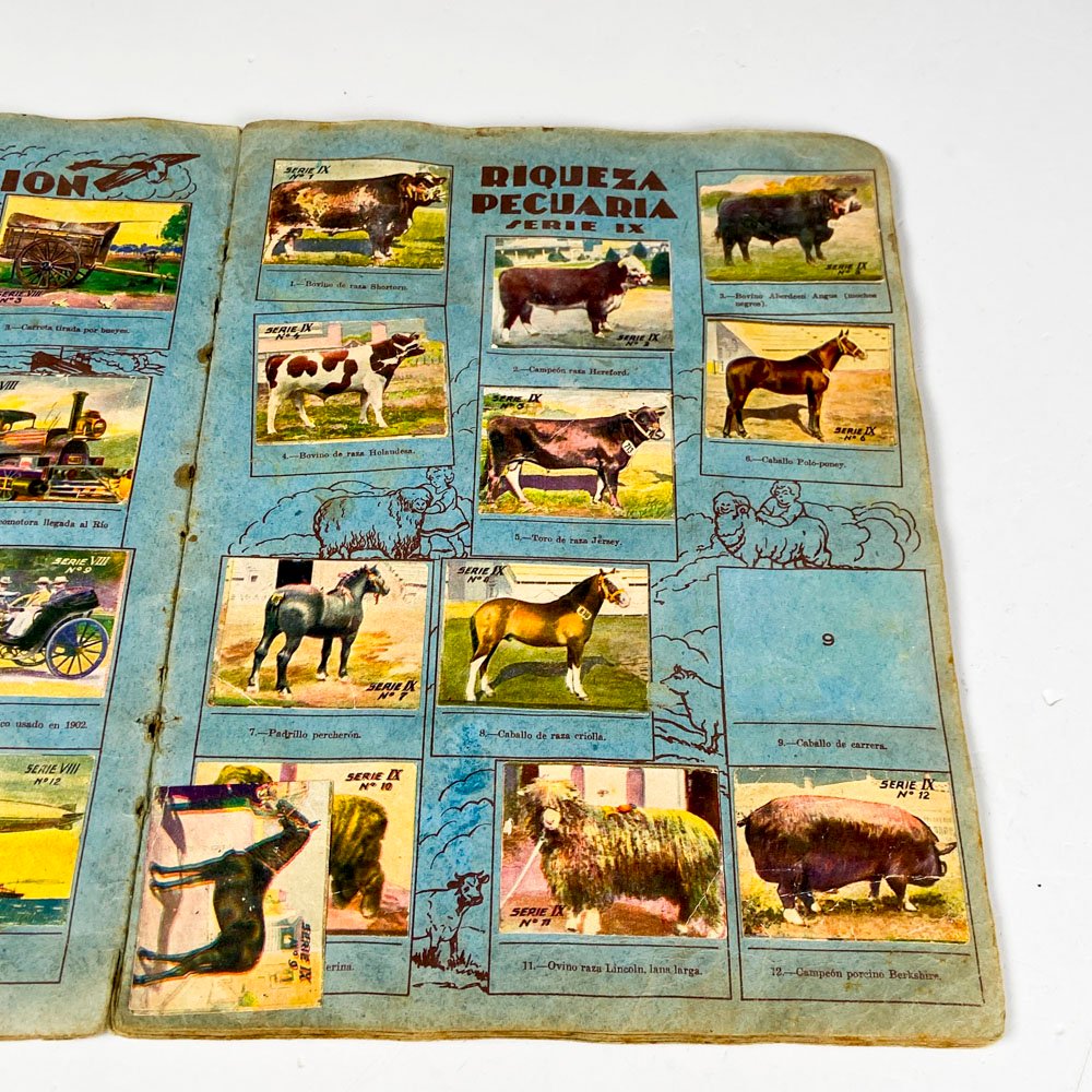 Item 501602 - Image 3