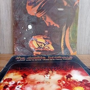 Lote siguiente: Dos Vinilos LP: Electric Light Orchestra "Discovery" y The Doobie Brothers "What Were Once Vices Are Now Habits"