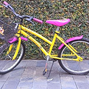 Lote siguiente: Bicicleta Infantil Amarilla con Canasto y Guardabarros Rosados