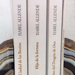 Lote de 4 Libros de Isabel Allende: La Ciudad de las Bestias, Hija de la Fortuna, El Reino del Dragón de Oro, Los Amantes del Guggenheim - imagen 2