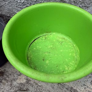 Lote de Balde Negro, Recipiente Verde y Orinal Celeste - imagen 4