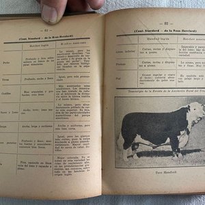 Agenda Frigorífico Nacional República Oriental del Uruguay 1935 - Didáctica y de Control - imagen 8