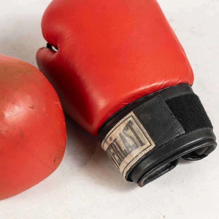 Guantes de boxeo Everlast - Medidas: 26cm - imagen 2