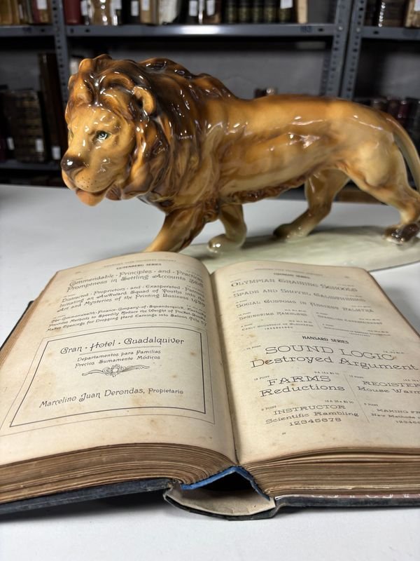Tipografía del Siglo XX: Libros Antiguos con Estatua de León - imagen 5