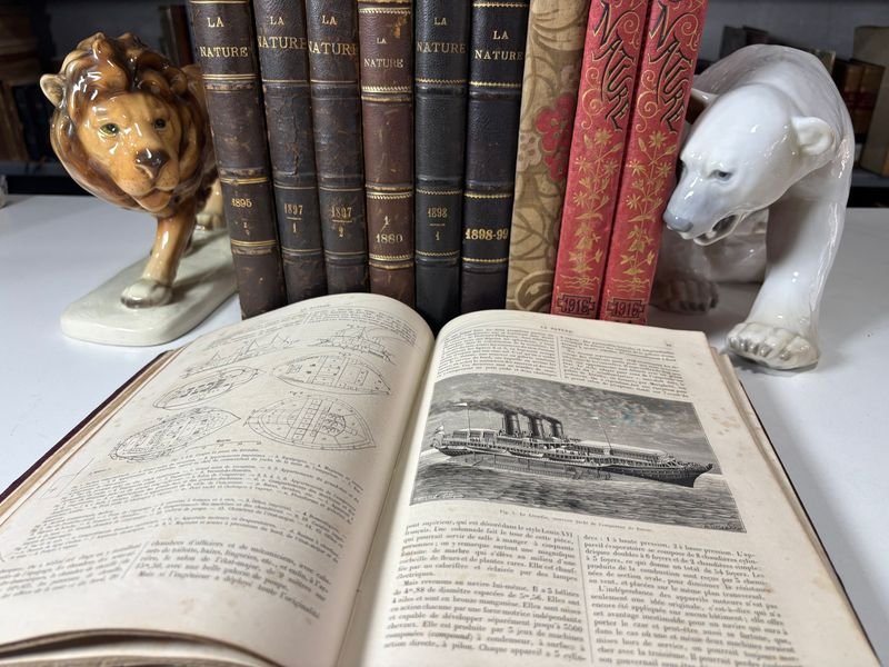 Item 879306 - Image 2