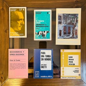 Lote siguiente: Lote de Libros Uruguayos: Onetti, Di Candia, Amorín y más