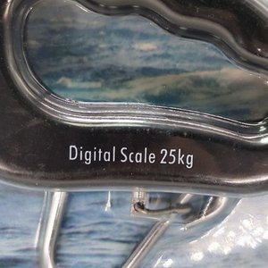 Balanza Digital Portátil de Mano para Pesca hasta 25 kg - imagen 2