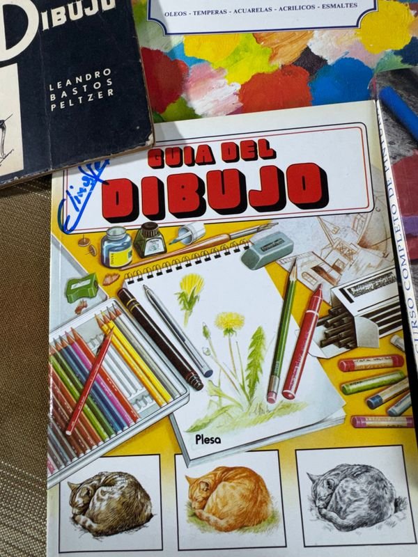Libros de aprendizaje para pintar en español - imagen 2