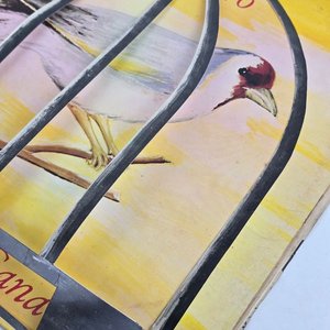 Vinilo "Apostando al Futuro" Edición Especial de Araca La Cana - imagen 8