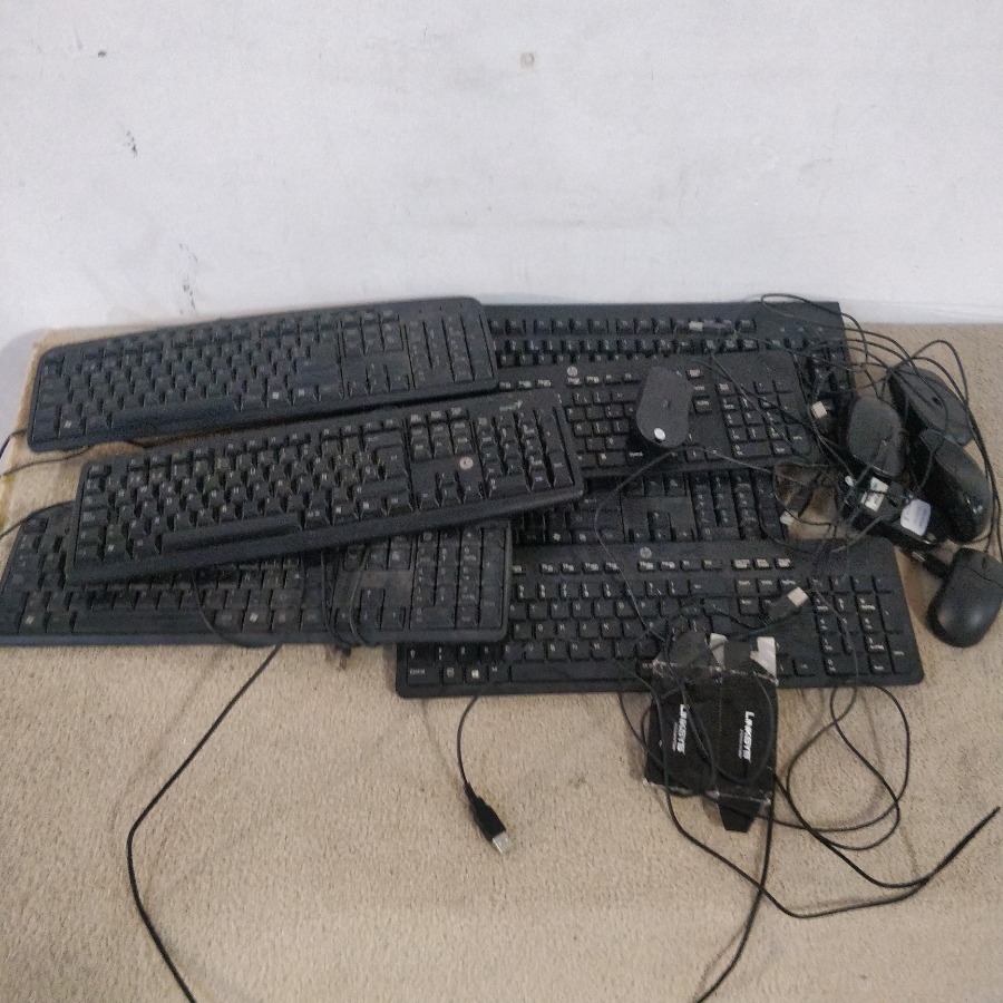 Lote siguiente: Colección de ratones y teclados para computadora