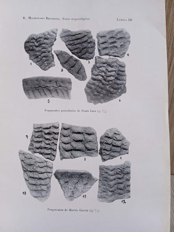 Documento antiguo del Museo del Plata, Argentina - imagen 2
