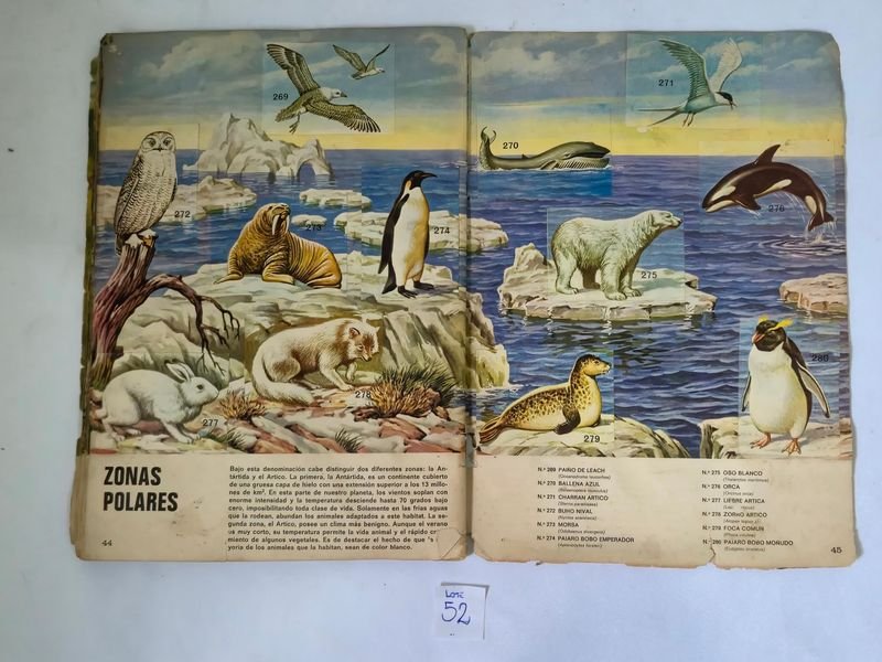 Item 844753 - Image 19