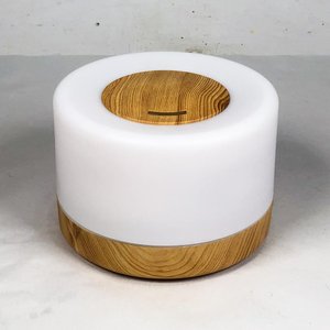 Lote anterior: Difusor de Aroma Eléctrico con Luz LED y Control Remoto