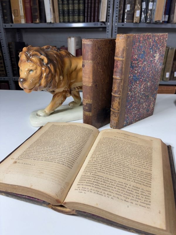 Item 879443 - Image 3