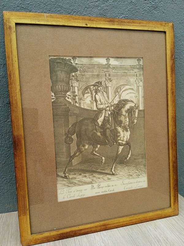 Item 884225 - Image 0