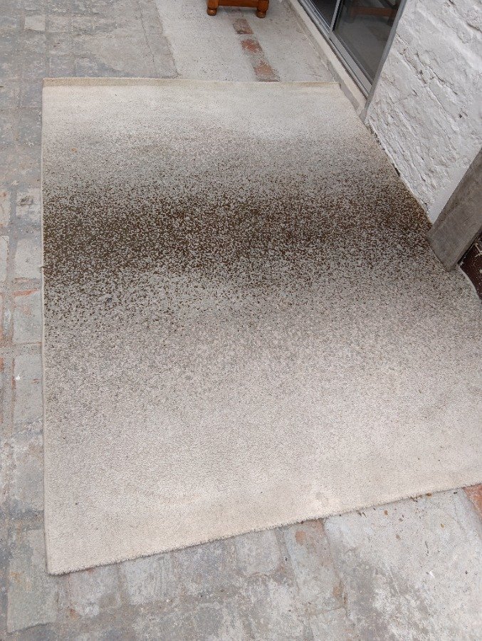 Alfombra en buen estado para decorar tu hogar - imagen 3