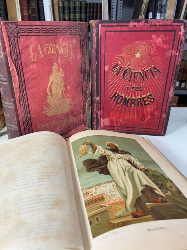 Item 879452 - Image 3