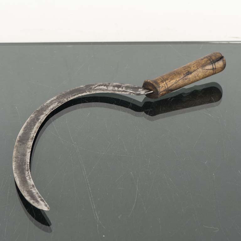 Lote siguiente: Hoz de mango de madera americana - Medidas: 40cm