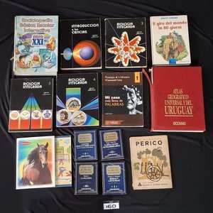 Lote de 14 Libros Educativos, Científicos y de Literatura Clásica - imagen 1