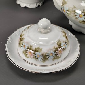 Conjunto de Porcelana Brasilera Schmidt: Tetera, Lechera, Dulcera y Cafetera con Flores - imagen 4