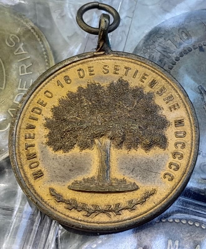 Item 874640 - Image 0