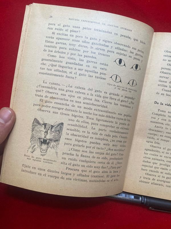 Item 871767 - Image 1